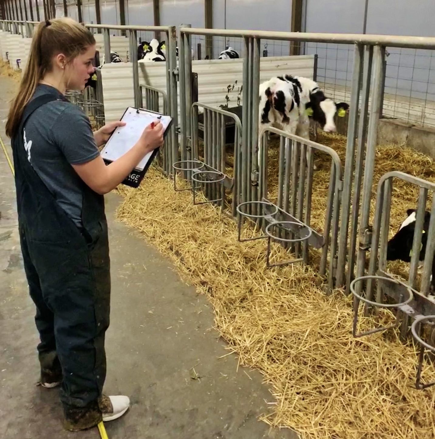 Next Generation of Dairy
